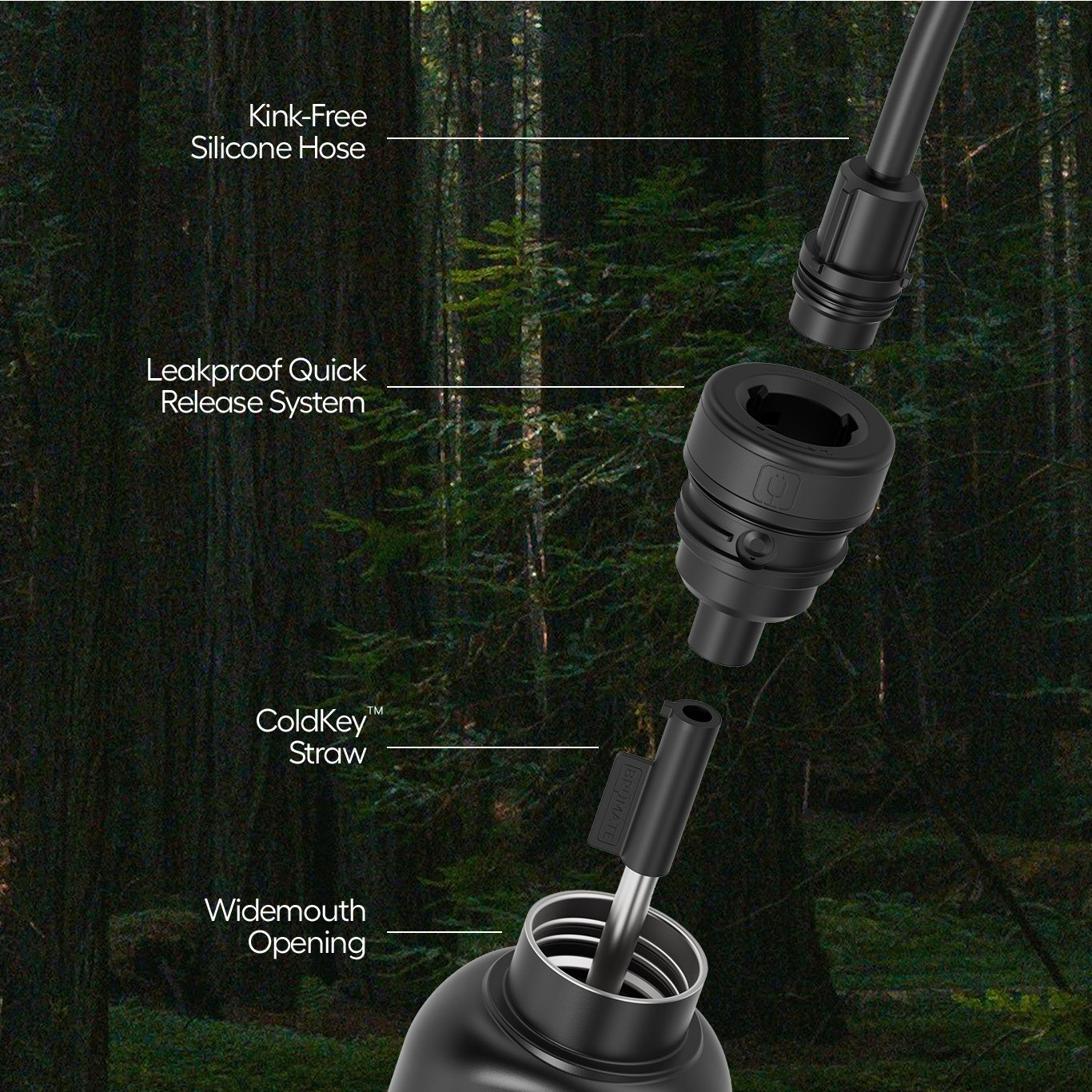 Reservoir with feature call outs